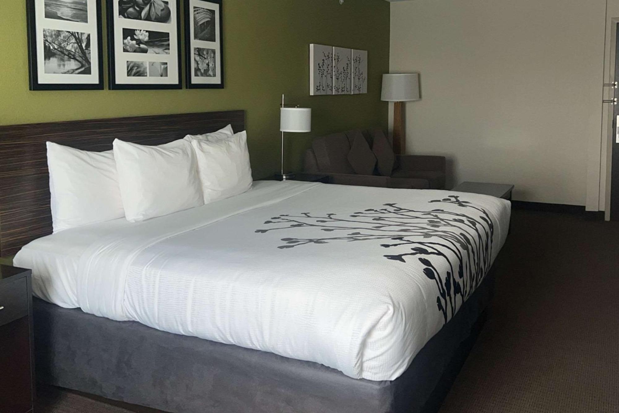 Sleep Inn & Suites Jourdanton - Pleasanton Ngoại thất bức ảnh